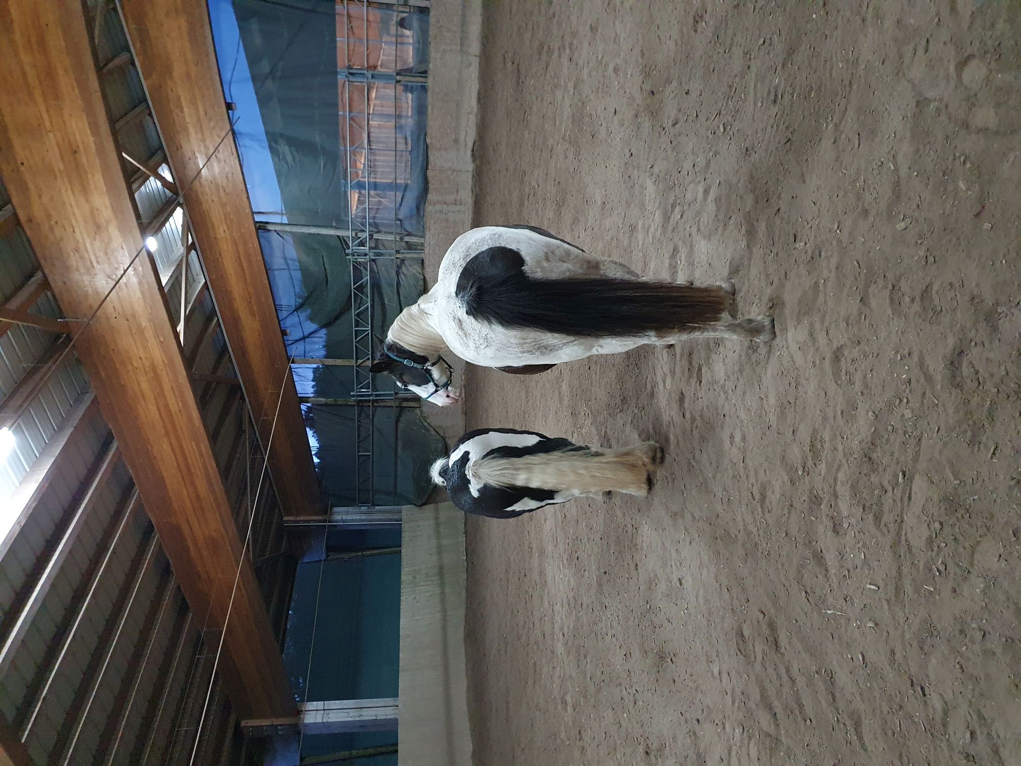 2023 11 November 572